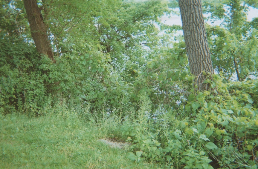 Zona Gale house shoreline overgrowth